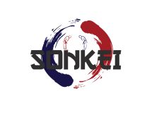Проект: SONKEI